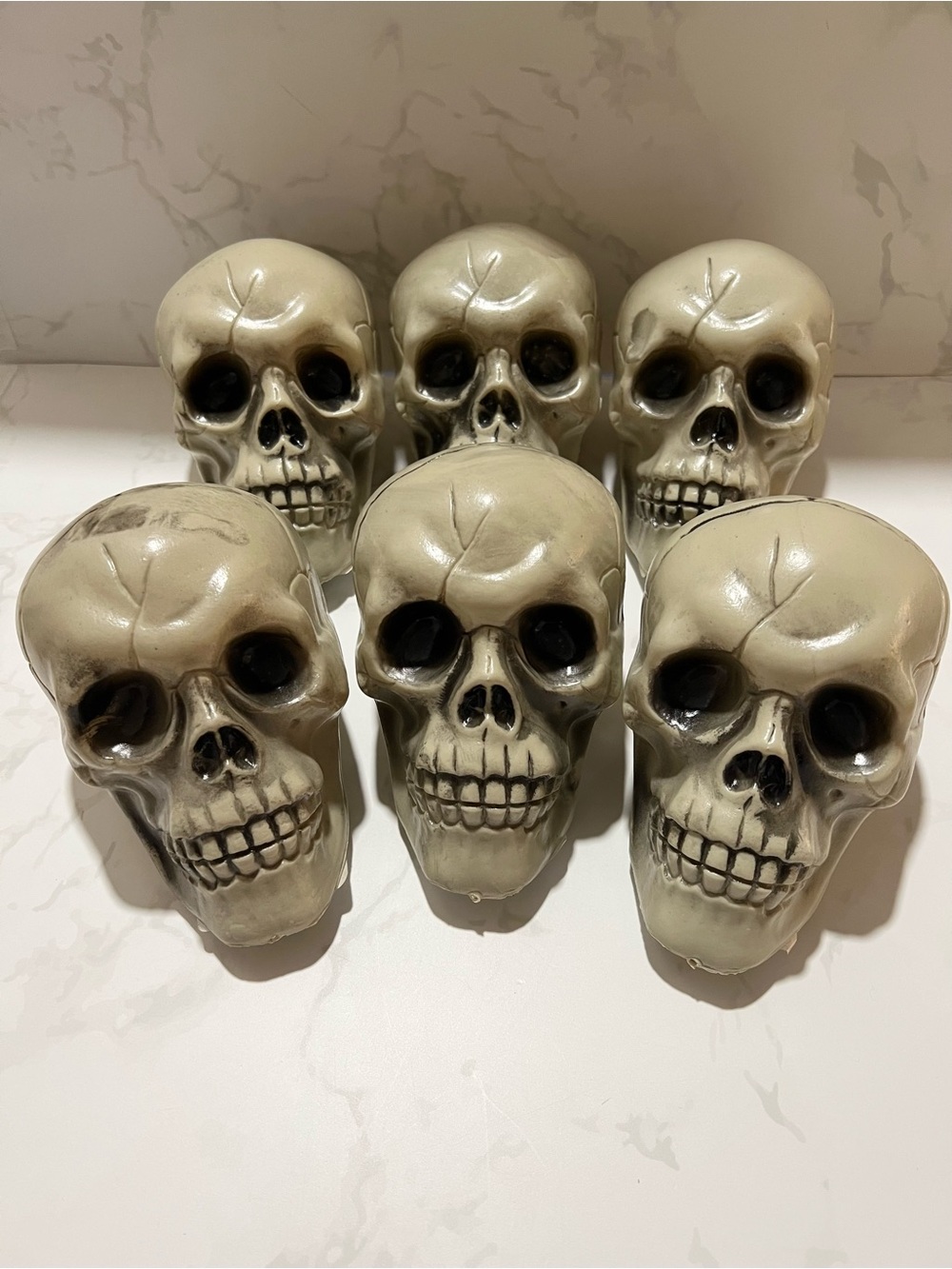 Six Skeleton Skull Heads Halloween Decor
